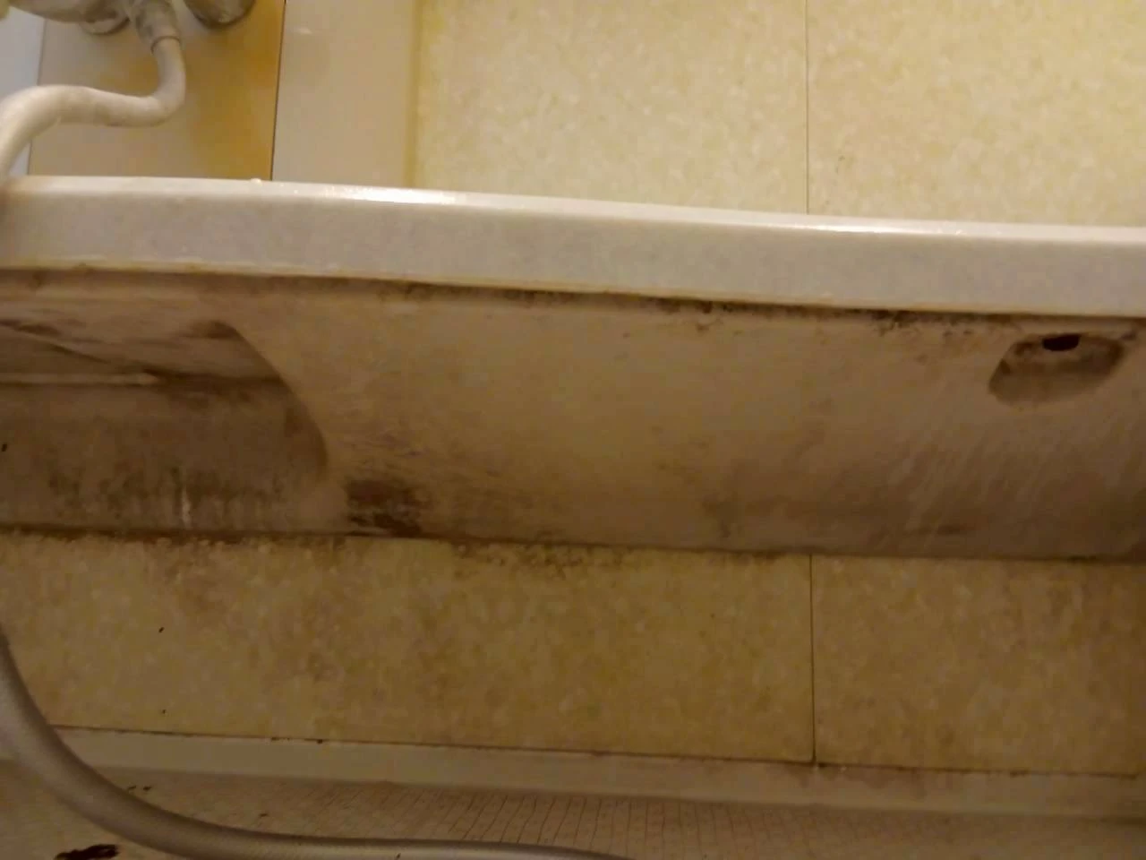 浴室クリーニングの様子 浴室クリーニングの様子